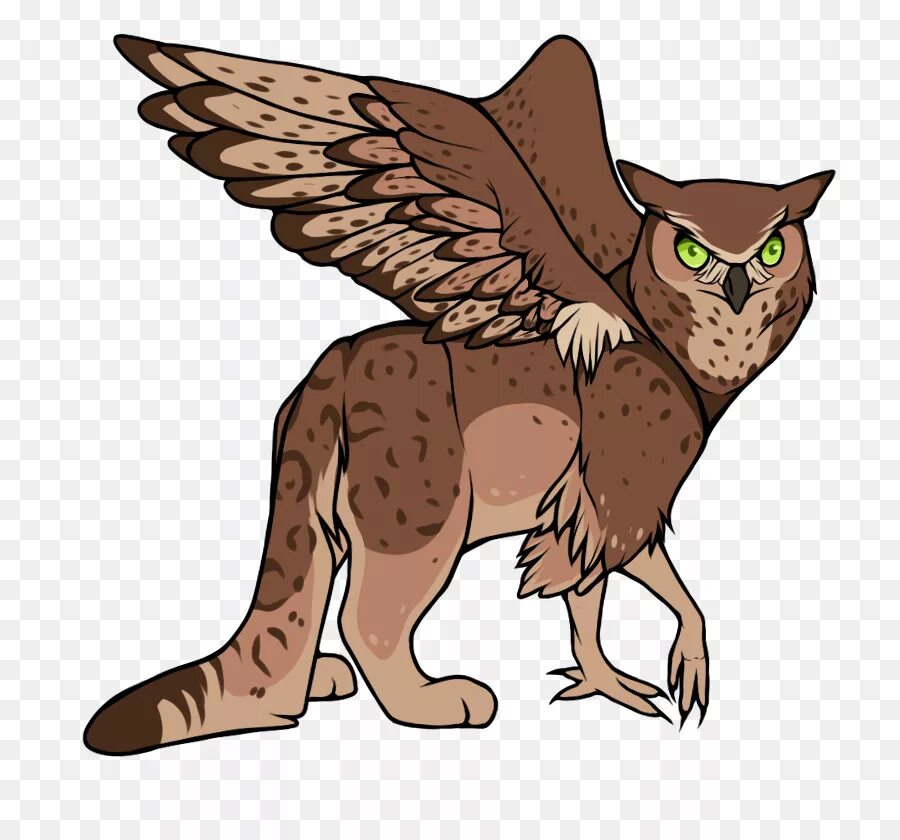 Сова атакует. Кот ястреб. Птица нападает на кота. Сова уносит кота. Птица уносит кота.