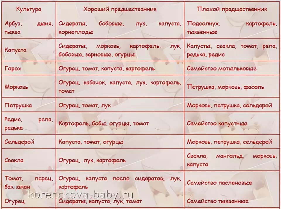 После чего сажать огурцы на следующий. Чередование культур в огороде таблица. Что после чего сажать. Предшественники в севообороте. Какие культуры можно сажать на следующий год.