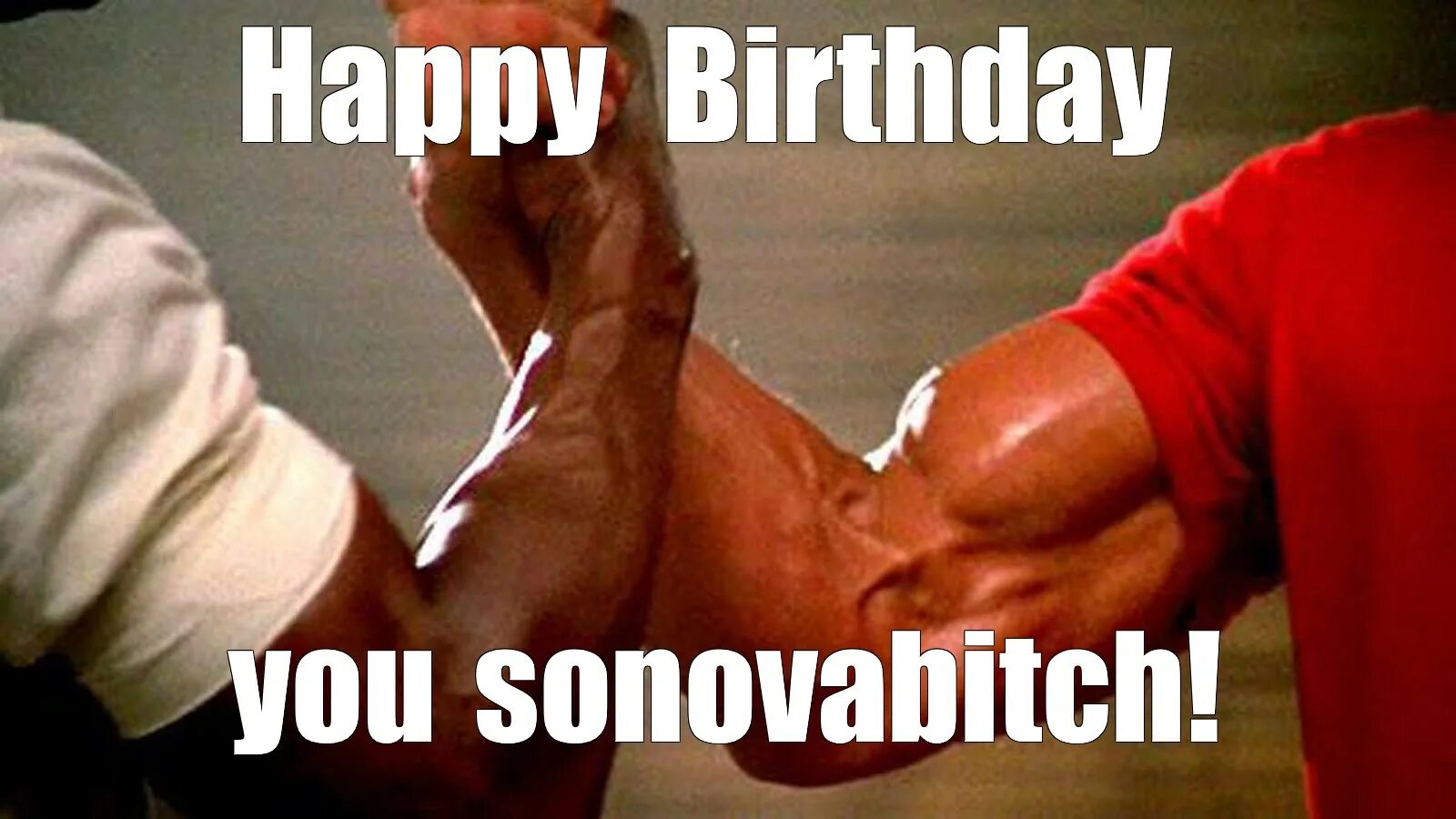 арнольд шварц мемы. тонкий шварценеггер мем. арнольд шварценеггер мем. шварценеггер выныривает с мечом. дамы и господа мем шварценеггер оригинал.