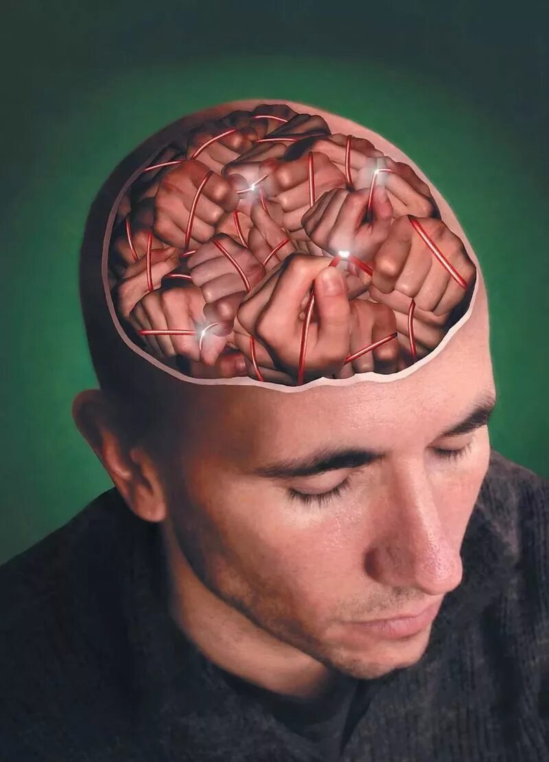 Мозг в голове.