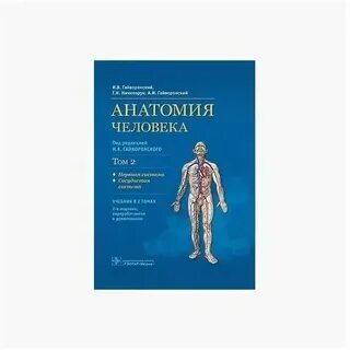 Гайворонский мочеполовая система