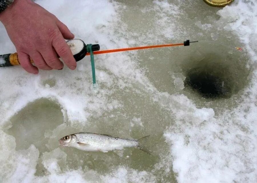 Ловля рыбы мормышкой. Ельцы рыбалка зима. Снасти для зимней рыбалки. Снасть для зимней рыбалки на Ельца. Мормышки на Ельца для зимней рыбалки.