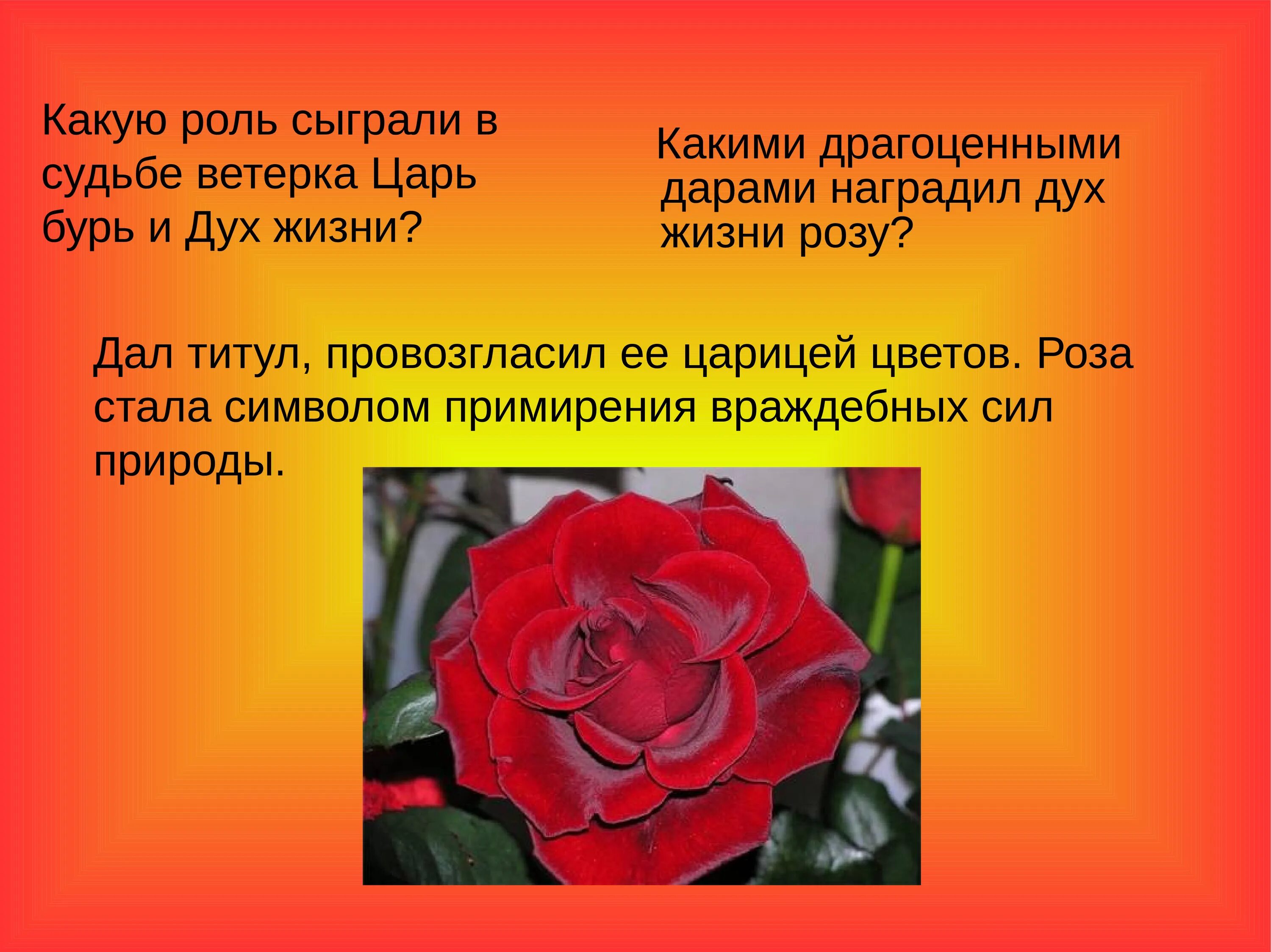 Цветок на земле вопросы по содержанию произведения. Описание цветка розы. Рассказ о чём говорят цветы.
