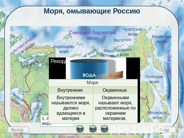 Какой океан омывает берега россии на севере