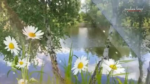 Где то калиточка в добрую