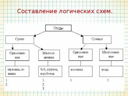 Месяц сделать схему