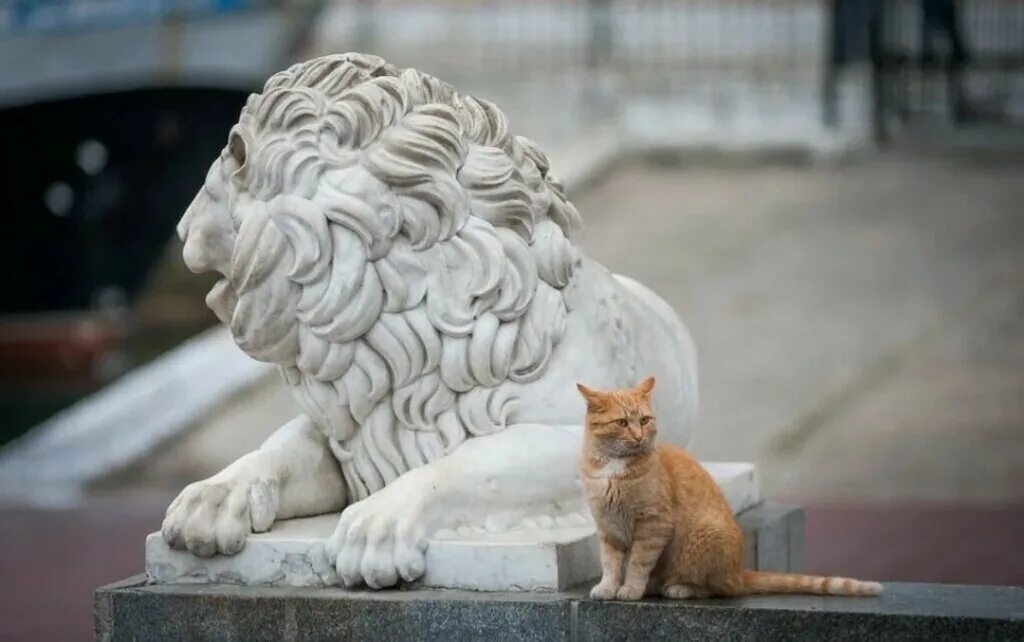 севастополь. маристан скульптура льва. львы на графской пристани в севастополе. скульптура лев севастополь. графская пристань.