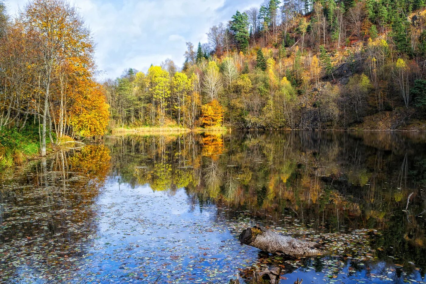 Ведьмино озеро. Ведьмино озеро Никитино. Ведьмино озеро Краснодарский край. Ведьмино озеро Мостовской. Псебай ведьмино озеро.