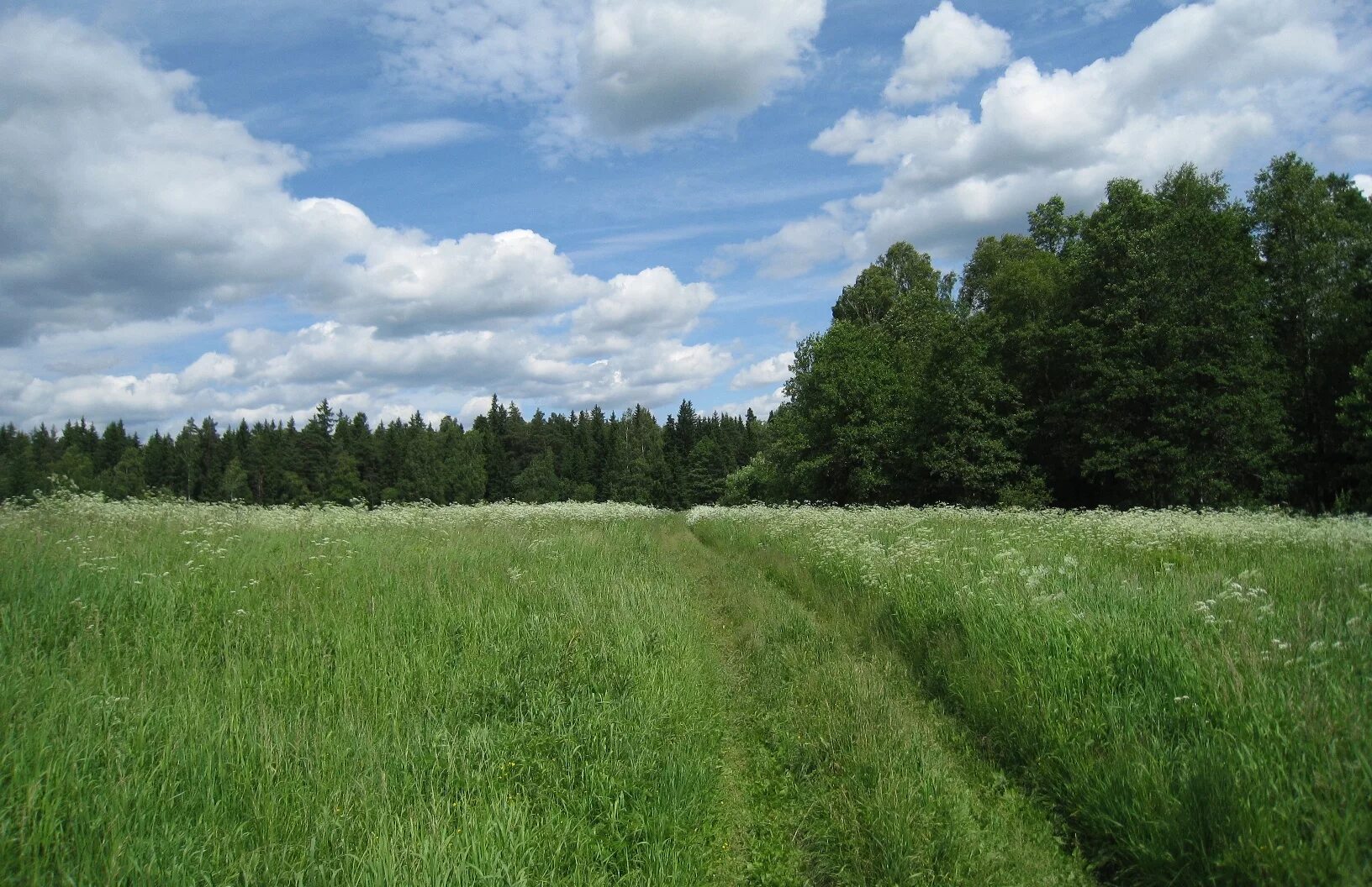 Иславское коттеджный поселок. Деревня пронское одинцовский район. Деревня шульгино одинцовский район. Ивонино московская область церковь. Сосны одинцовский район достопримечательности.