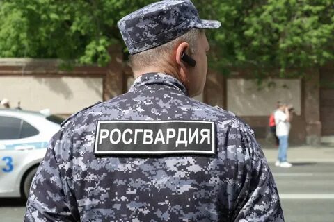 Законопроект о добровольческих в росгвардии