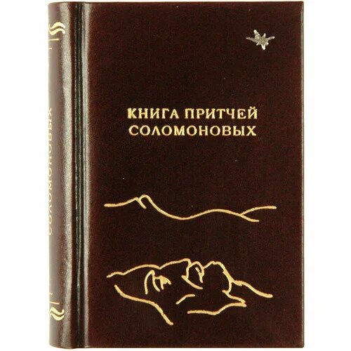 Книга притчей Соломоновых. Книга притчей Соломоновых книга. Книги мудрости притчи Соломоновы. Притчи Соломоновы подарочная книга. Притчи соломоновы на русском