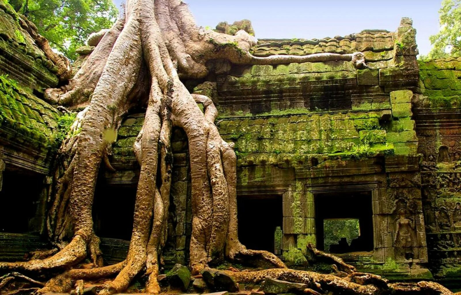 Храм та-Прум, Камбоджа. Храм та Пром Камбоджа. Джунгли Камбоджи храм Ангкор. Ангкор ват деревья.