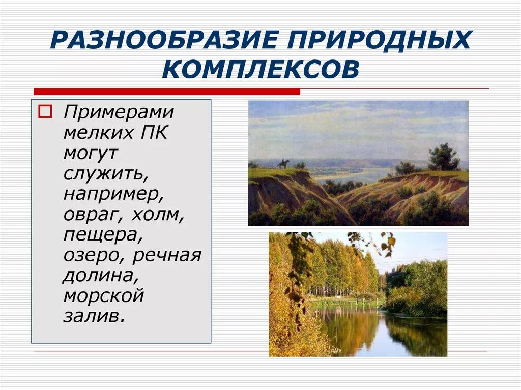 Какие природные комплексы являются наименьшими по размеру. Природные комплексы суши. Разнообразие природных комплексов. Природные комплексы суши и океана 7. Примеры природных комплексов суши и океана.