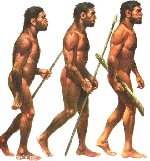 Чем отличаются современные люди. Первобытные люди. Доисторический человек. Древний человек. Люди в древности.
