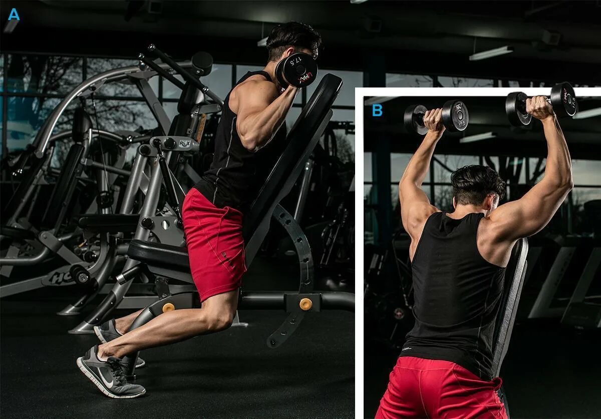 Задняя дельта muscle. Приседание. Кроссовер задняя дельта верхний блок. Прокачать стиль. Качок пресс.