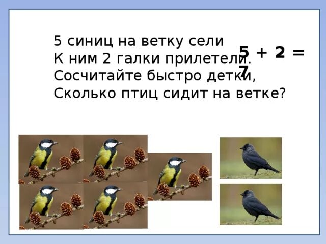 Загадка летела стая птиц. Задачки про птиц. Пять синиц на ветку сели. Птички для задач по математике. Задачи про синичек.