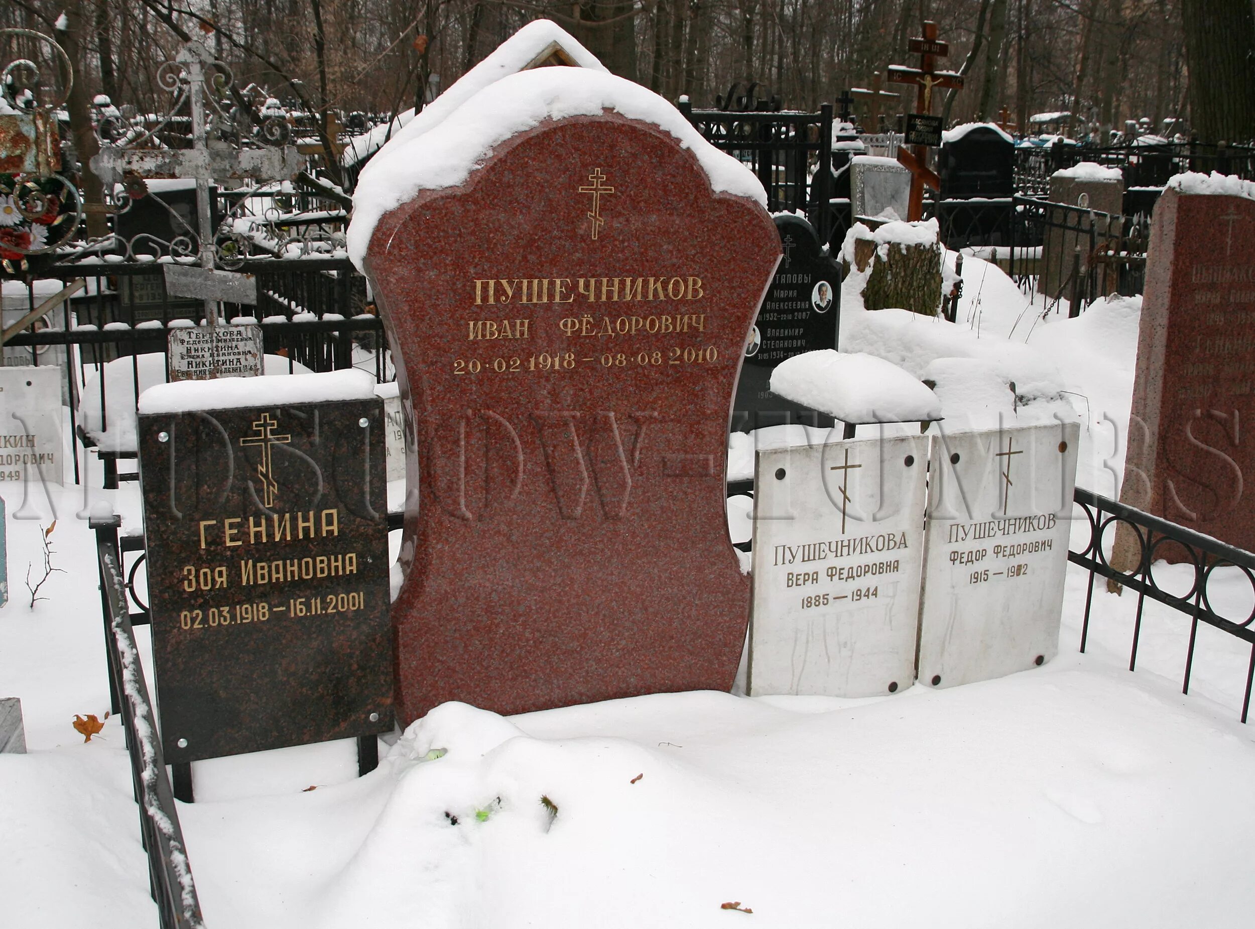 Н. Н. Пушечников. Пушечников. Пушечников.