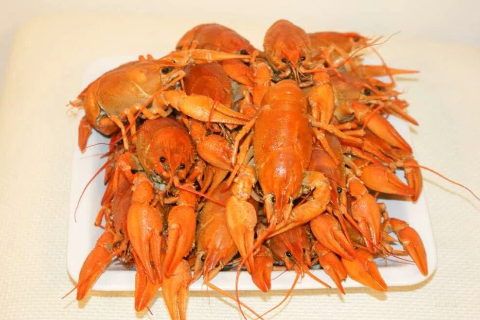 живые раки недорого москва