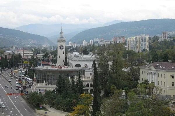 Администрация города Сочи - В Сочи в 2021 году начнут массовую "вакцинацию" паль
