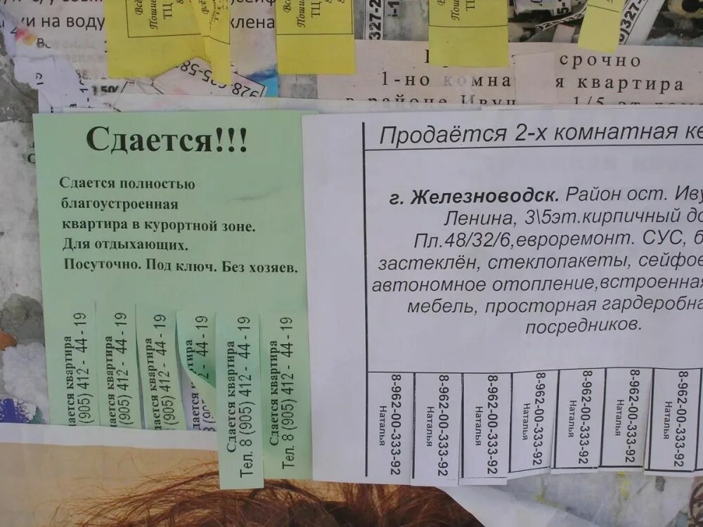 Объявление о сдаче квартиры. Объявление о сдаче квартиры образец. Объявление сдам квартиру образец. Объявление о сдаче квартиры в аренду.