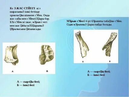 Сахнада билеп жүрген жалаңаш жігіттер