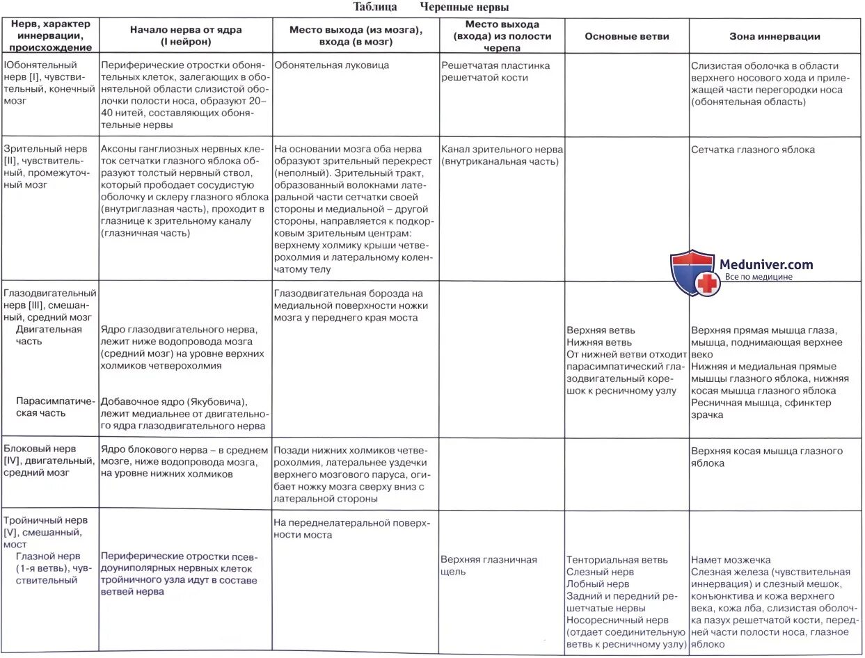 Область черепных нервов. Таблица черепно мозговые нервы характер иннервации. Иннервация 12 черепных нервов. Черепные нервы 12 пар таблица. 12 Пар черепно-мозговых нервов иннервация.