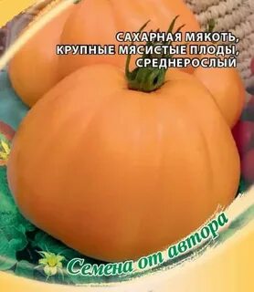 Томат инжир описание сорта