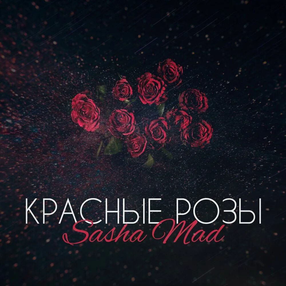 Музыкальный альбом с красной розой. Красные розы mp3. Красная музыка без слов