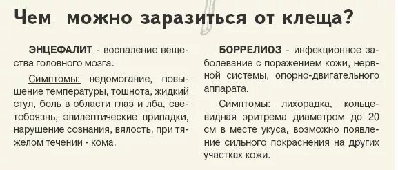 Передается ли энцефалит. Что можно подцепить от клеща. Чем можно заразиться от клеща. Заговор если клещ укусил. Чем можно заболеть от клеща.