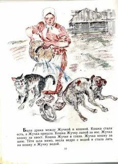 Жучка кошку