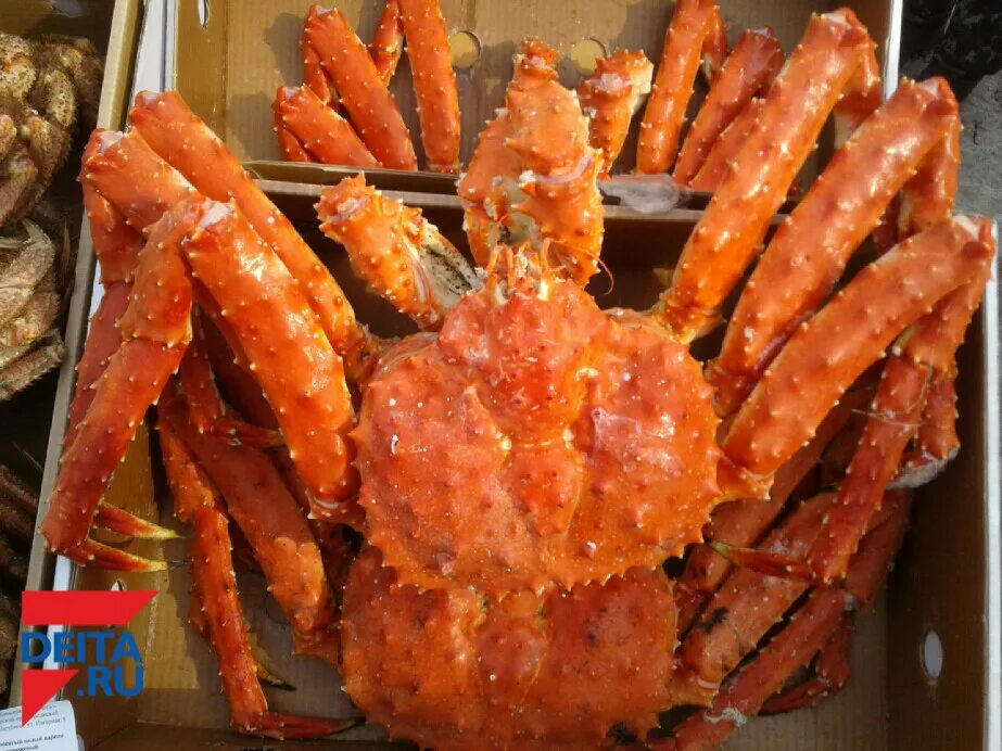 Владивосток ресторан краб. Владивосток рынок. Морепродукты охотского моря. Деликатесы владивостока. Рыбный рынок на дальнем востоке.