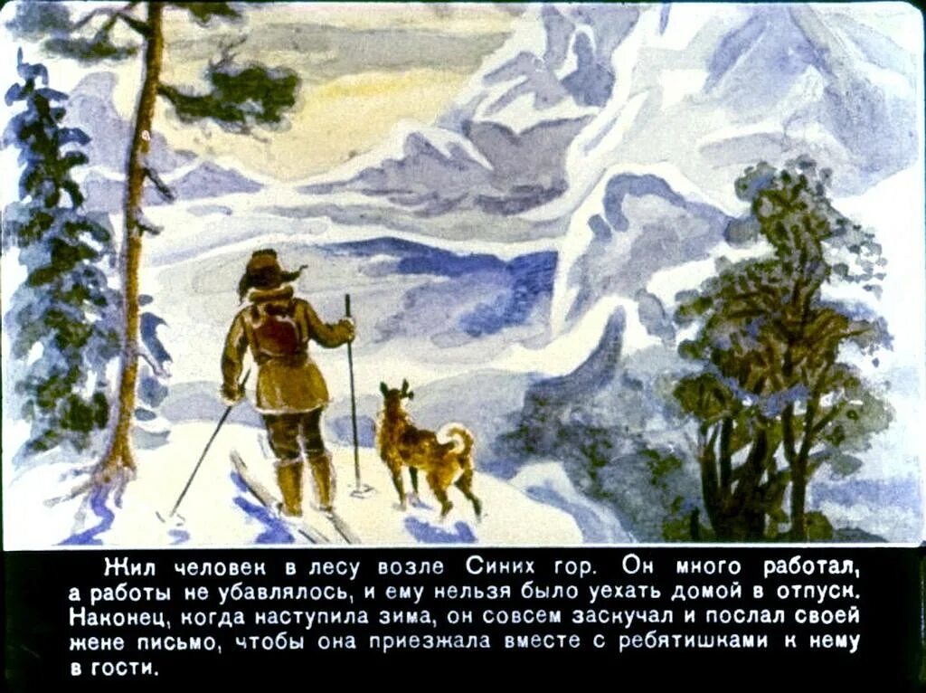 Слава жил возле леса и часто гулял. Чук и Гек синие горы. Чук и Гек елка в тайге. Жил человек в лесу возле синих гор.