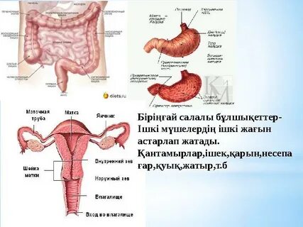 Art House эротика секс
