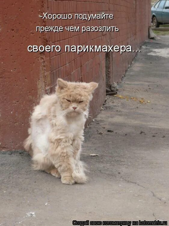 нужно думать прежде чем говорить. пожелания доброго утра прикольные. меня будить. хорошо подумаю пока. конь юлий ой дурааак.