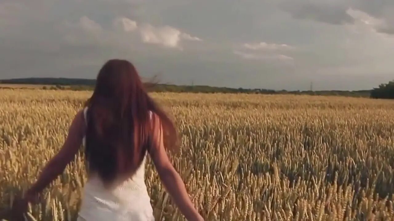 Девушки в поле песня. Девушка поет в поле. Девушка в пшенице. Поют в поле. Девушка в поле футаж.