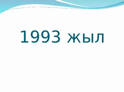 1993 жыл