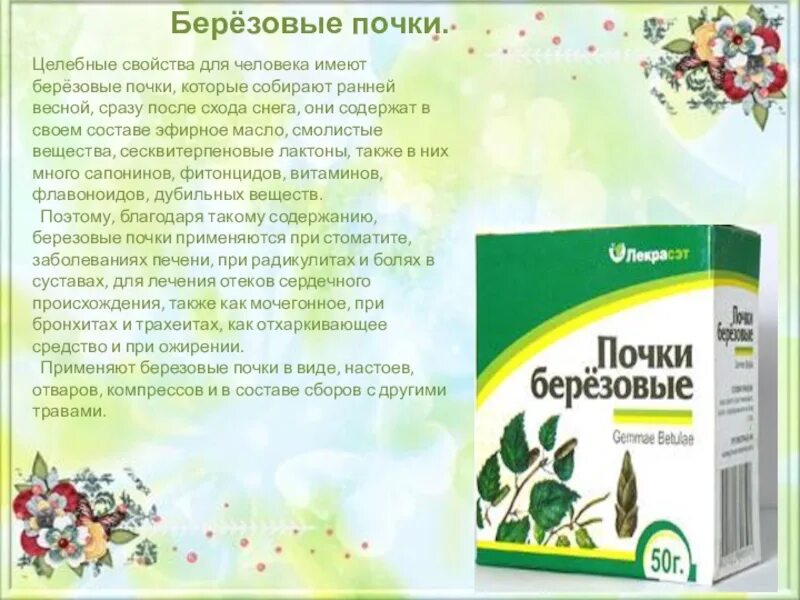 Лечение березовыми почками