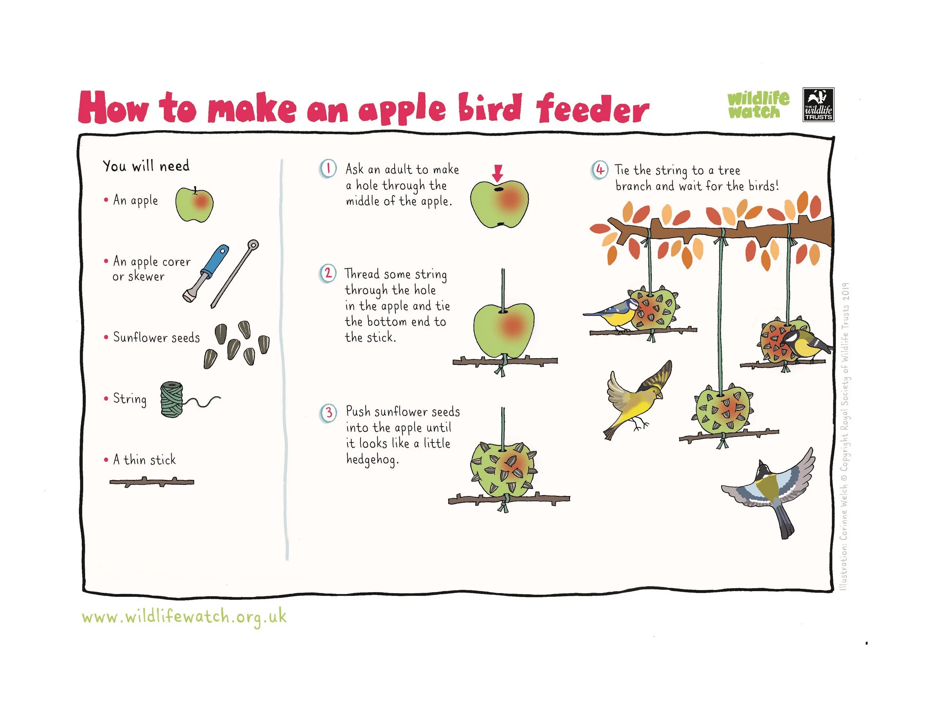 Make a Bird Feeder. Apple Bird. Bird Feeder перевод. Feed the Birds Day.