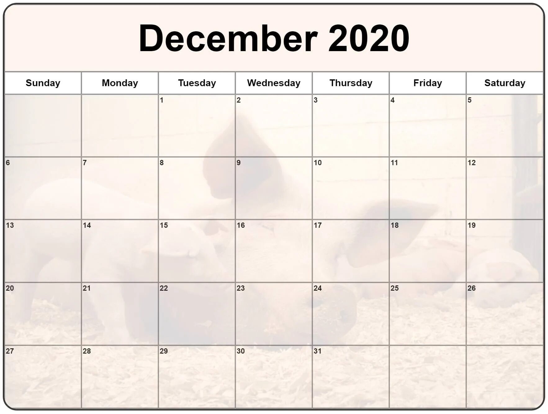 Значения декабрь 2025. Календарь планер на декабрь 2025 год. календарь декабрь 2025. календарь планер на декабрь 2025. календарь декабрь 2025.