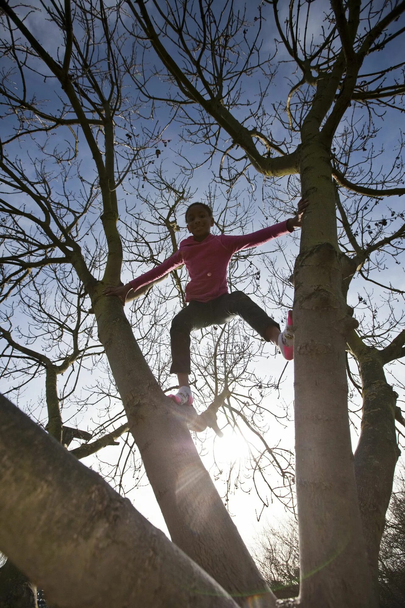 Лазание по деревьям. Climb a Tree. Kids Climbing Tree.