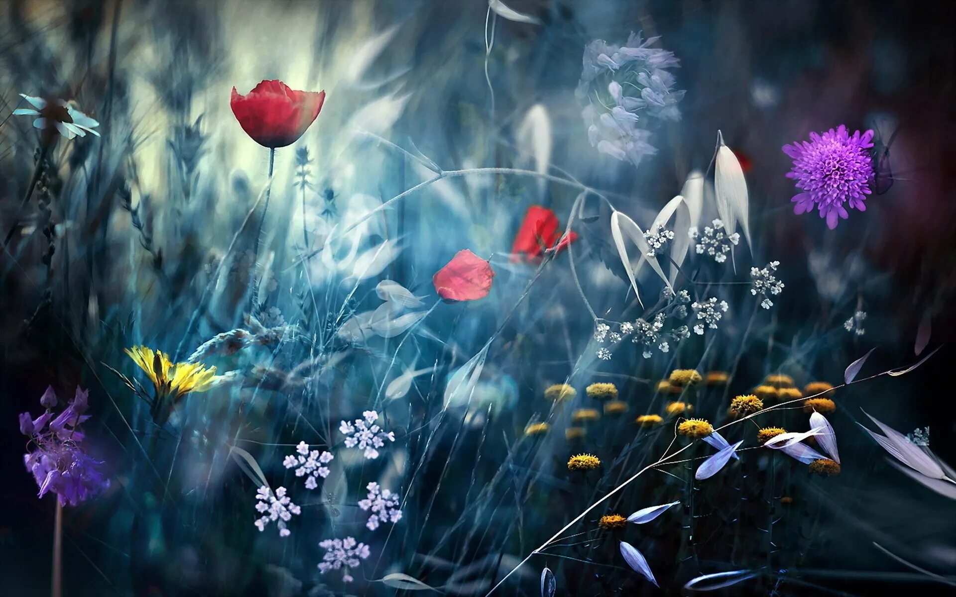 Картинки тема цветы. Skazochniye Sveti. Природа цветы. Фантастические цветы. Сказочные цветы.