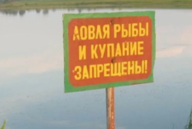 Купание запрещено. Рыбалка запрещена. Купаться запрещено рыбалка запрещена. Купание и рыбалка запрещены табличка. Запрет на рыбалку в белоруссии