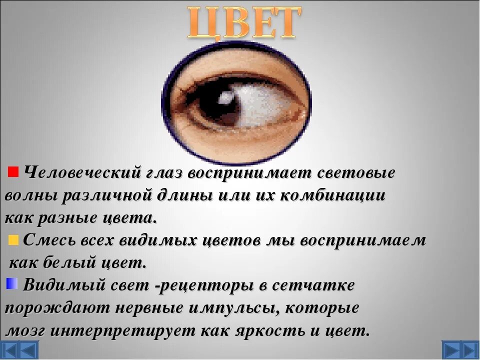 Все видно по глазам. Человеческий глаз воспринимает. Сколько кадров в секунду видит человеческий глаз. Частота восприятия человеческого глаза. ФПС человеческого глаза.