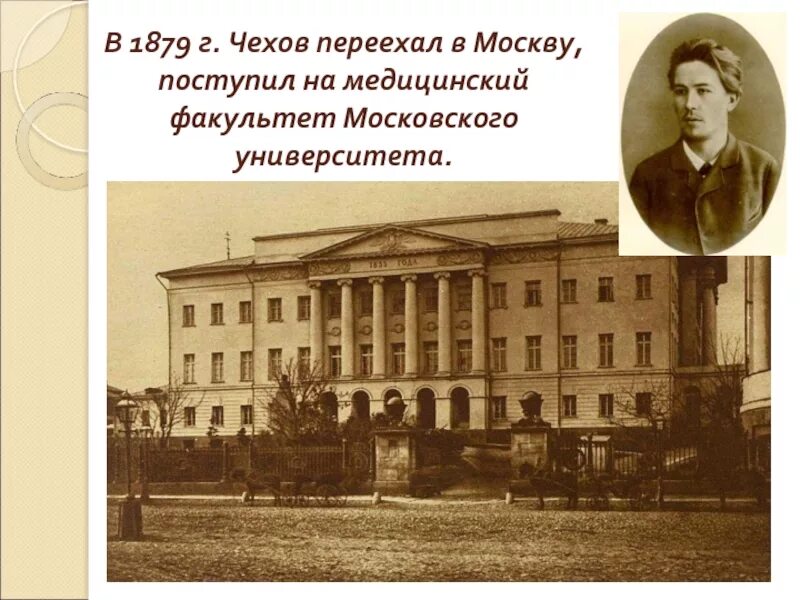 Чехов учился на факультете