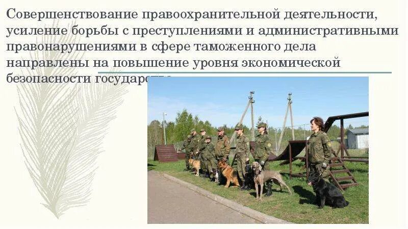 Таможенная правоохранительная служба