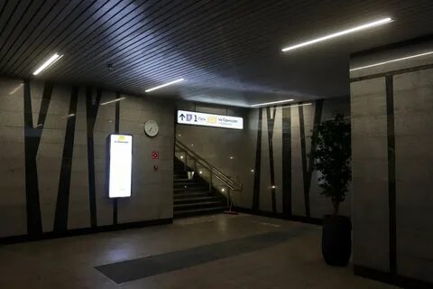 Тимирязевская открыли