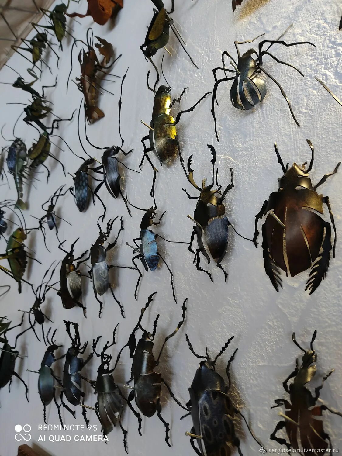 Коллекция жуков рогачей в рамке (Prosopocoilus giraffa keisukei и Sphaenognathus