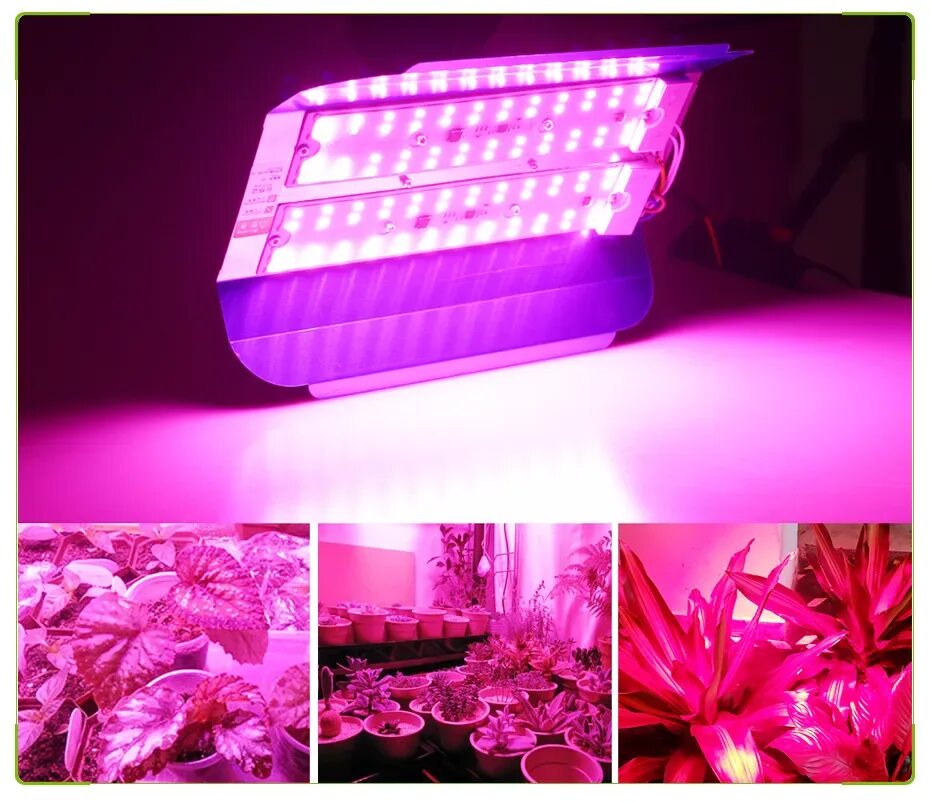 Чем фитолампа отличается от обычной лампы светодиодной. (led grow light 100w. лампа led grow 100w full spectrum. фитолампа светодиодная r-led полный спектр e27 27w 27 вт. фитолампа полный спектр 50 вт.