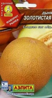 Дыня золотистая