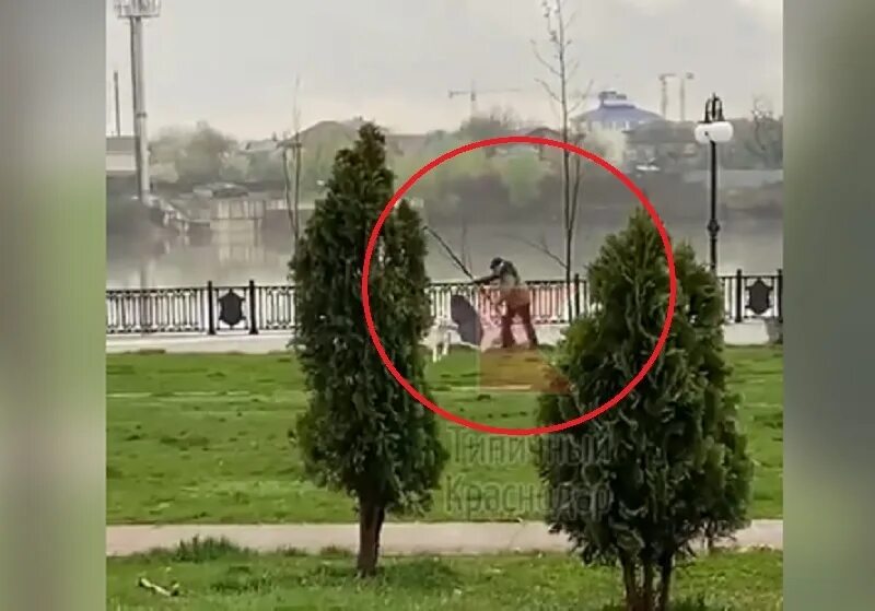 Краснодар парк зонт. Мем мужик улетел с зонтом. Собака загрызла человека фото. Стая бездомных собак загрызла ребенка в Оренбурге 16.04.2023.